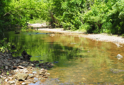 Creek Views