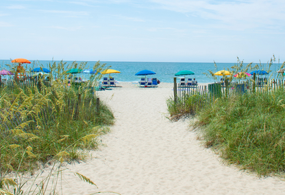 Oceanfront Beach View