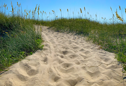 Oceanfront Dunes View