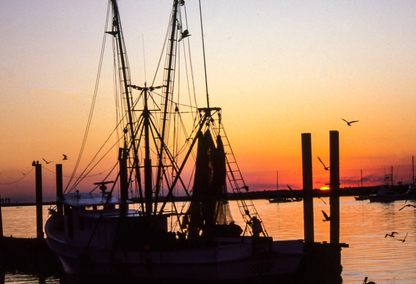 Shrimp Boat Sunset