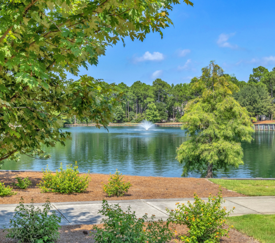 St James NC Walking Trails and Water Features