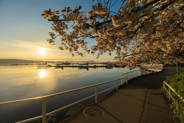 Morning waterfront view